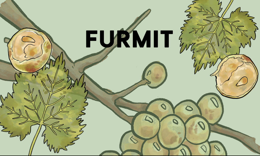 Wine Grapes: Furmit