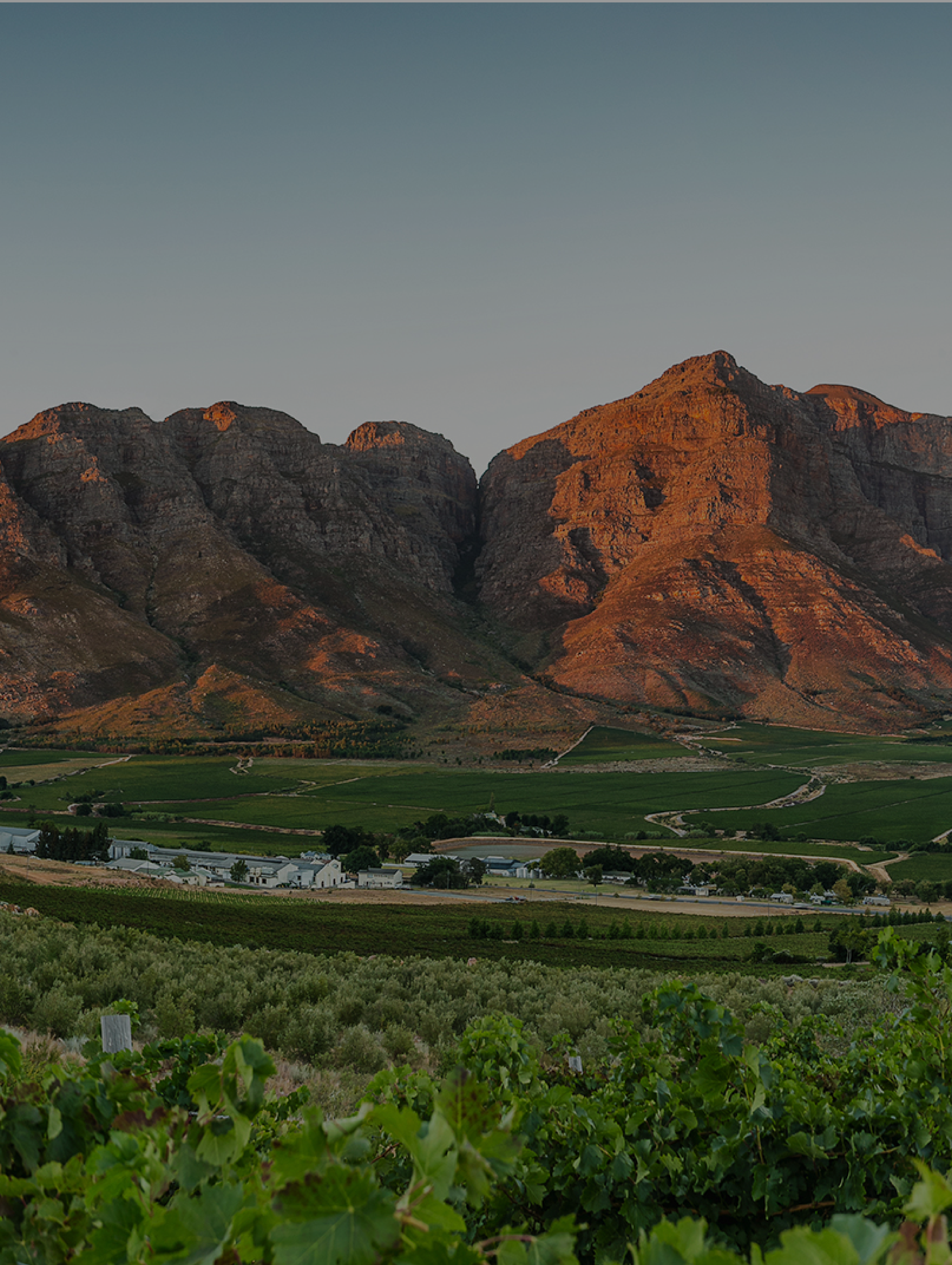 collections/SouthAfrica-Vertical.png