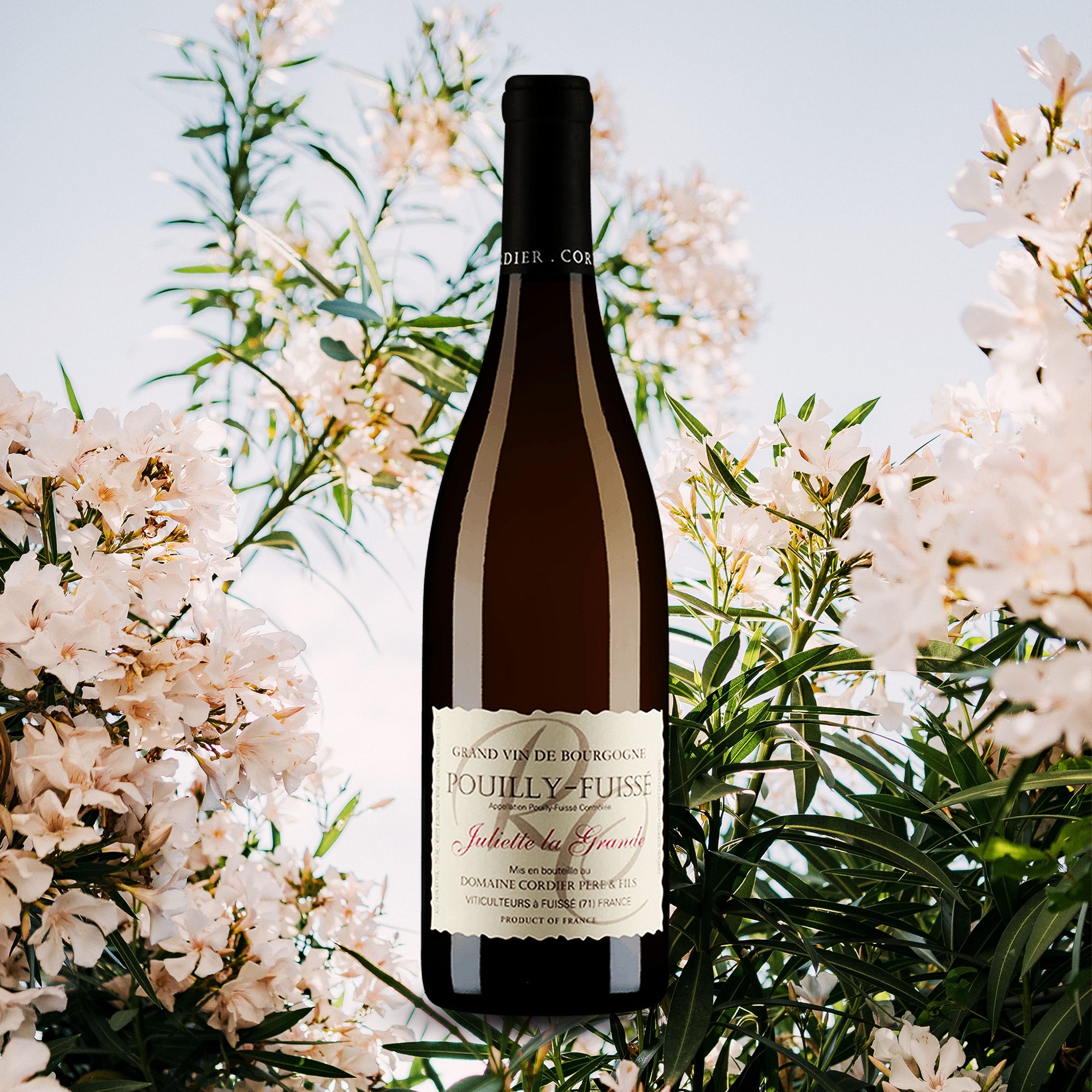 yourwinefix Domaine Cordier, Pouilly Fuisse Juliette La Grande 2020 yourwinefix Domaine Cordier, Pouilly Fuisse Juliette La Grande 2020