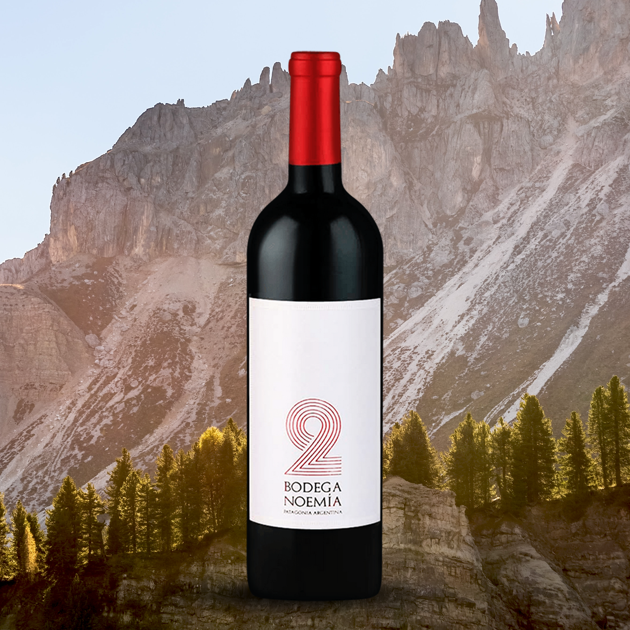 yourwinefix Bodega Noemìa de Patagonia Noemìa '2' 2017
