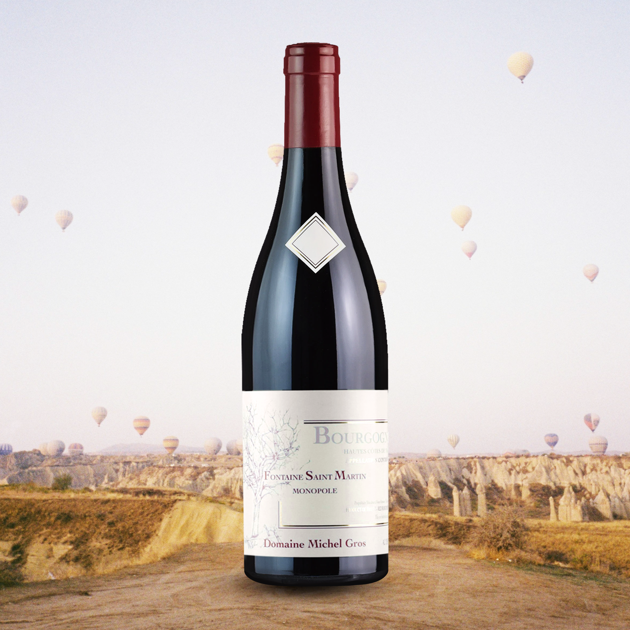 yourwinefix Michel Gros, Bourgogne Hautes Côtes de Nuits Fontaine Saint Martin Monopole 2018
