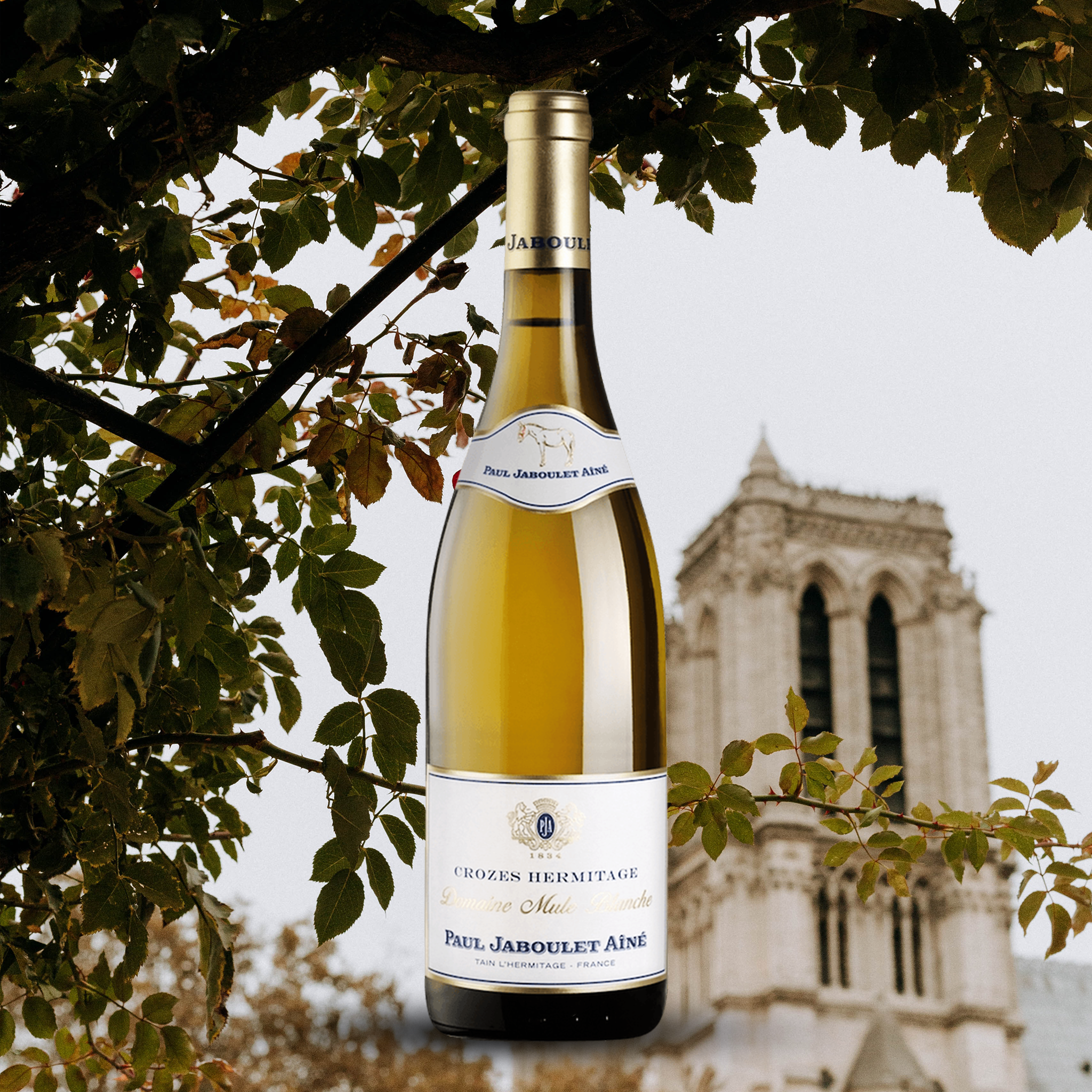 yourwinefix Paul Jaboulet Aîné, Crozes Hermitage Domaine Mule Blanche