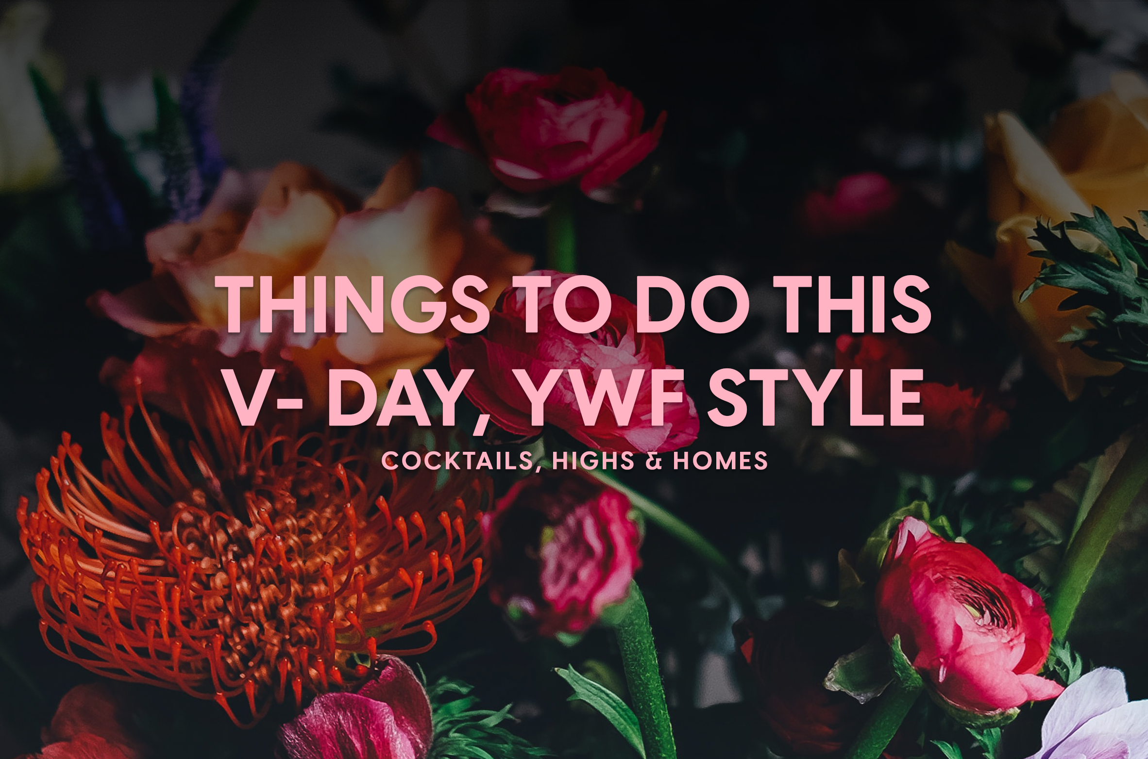 What are you doing this Valentine's day?