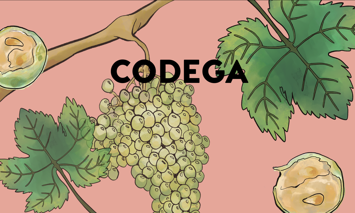 Wine Grapes: Códega – Wine Clique