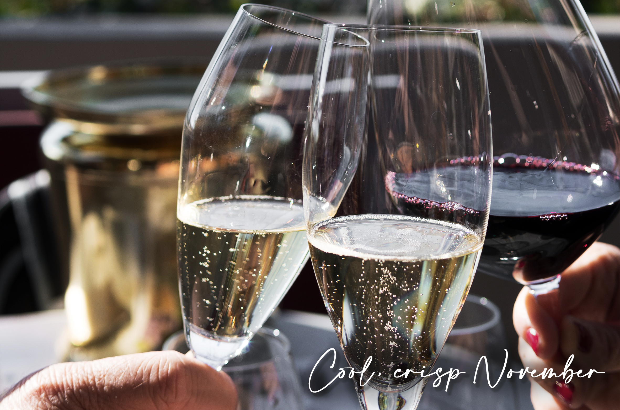 Your Wine Fix eNEWS: Just one month away from Christmas