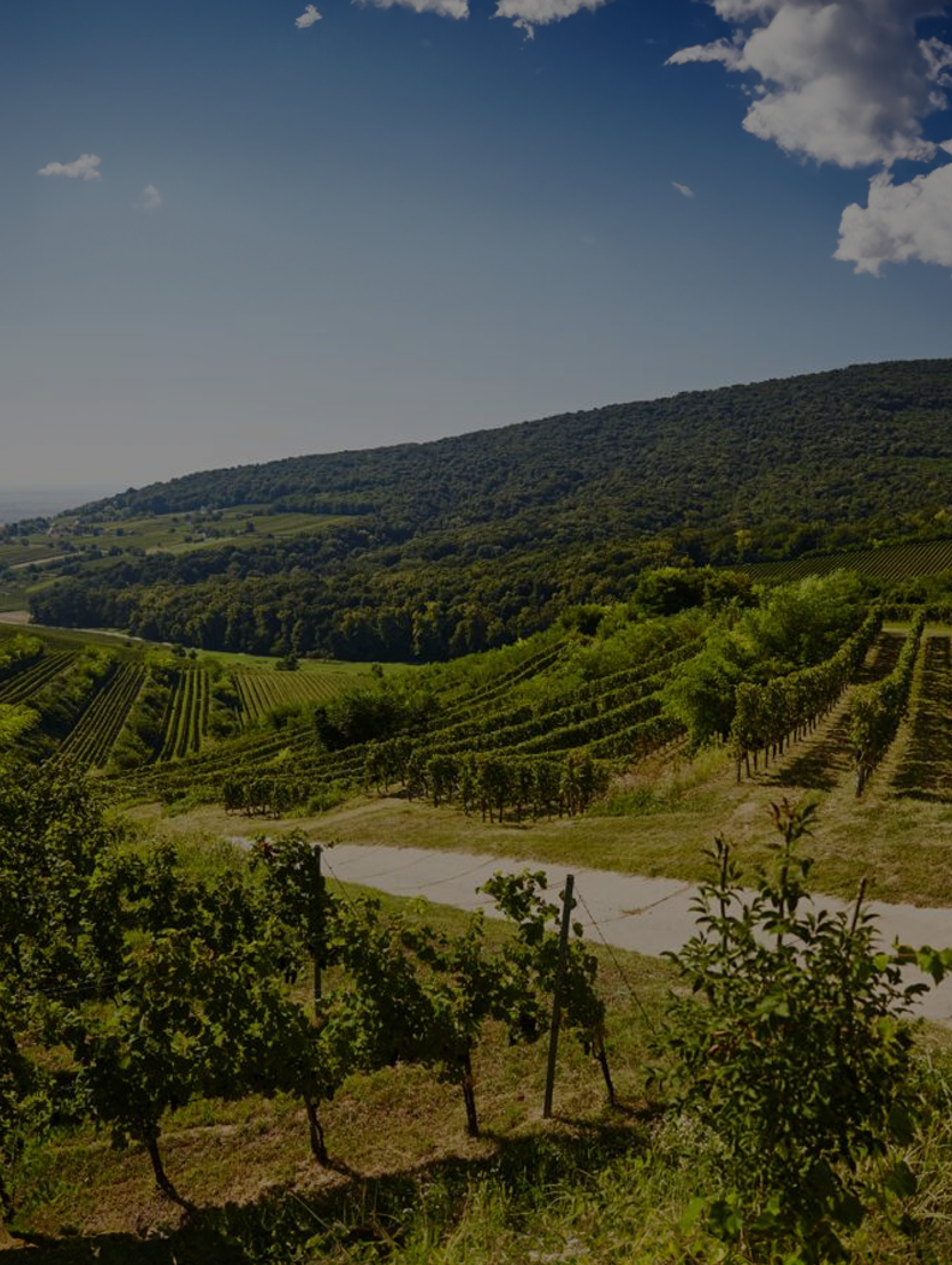 collections/Hungary-Vertical.png