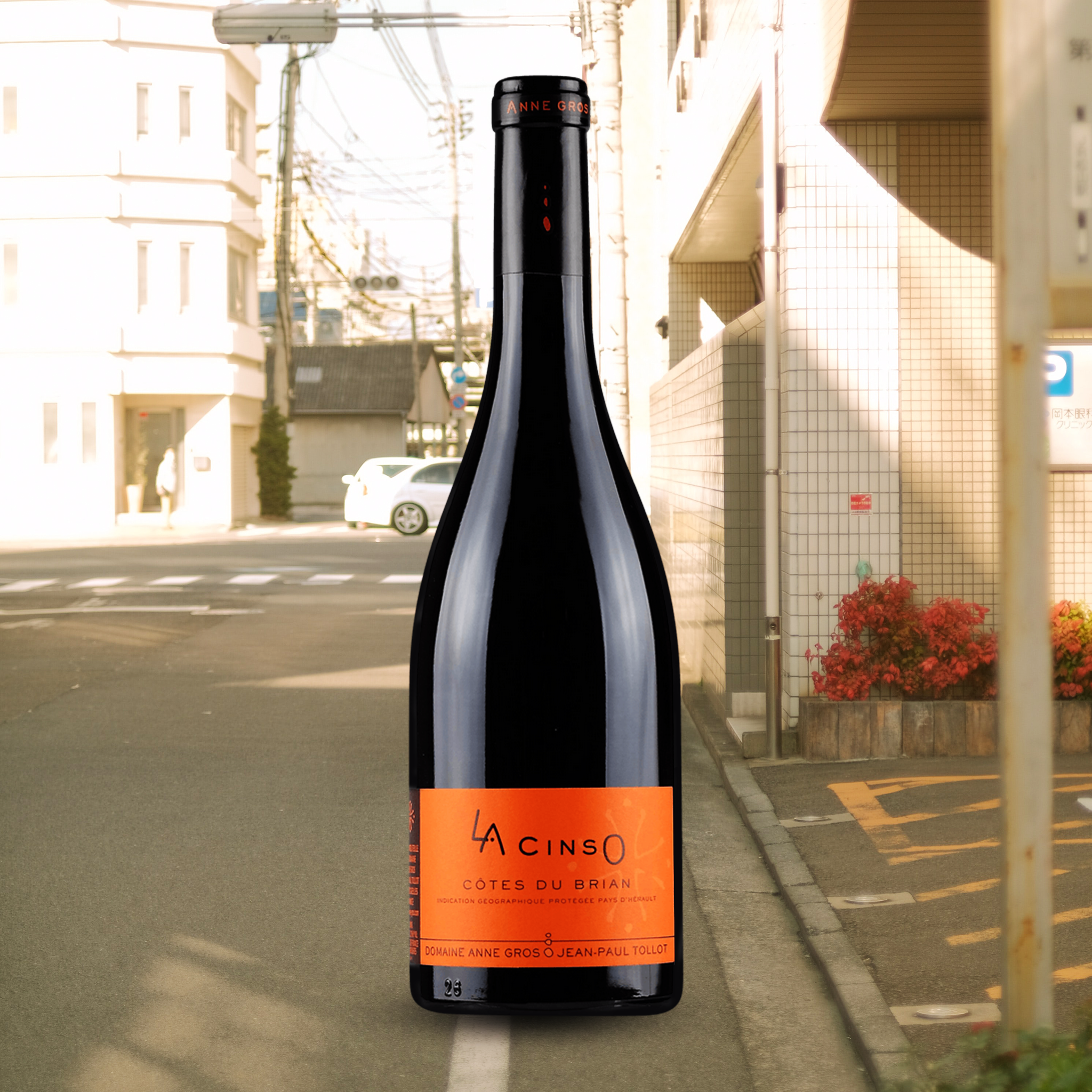 Anne Gros & Jean-Paul Tollot La CinsO 2021