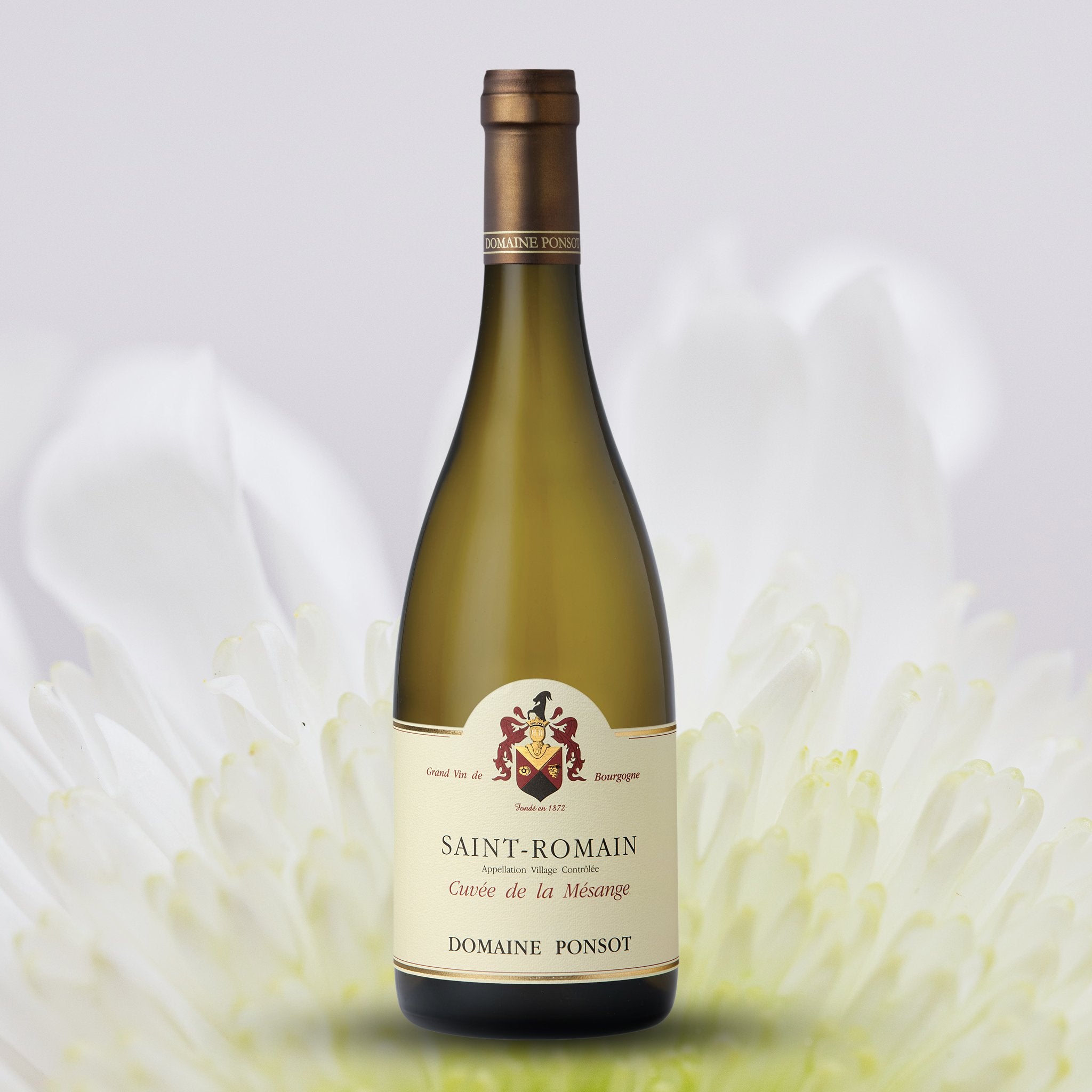 Domaine Ponsot Saint Romain Blanc Cuvee de la Mesange 2021