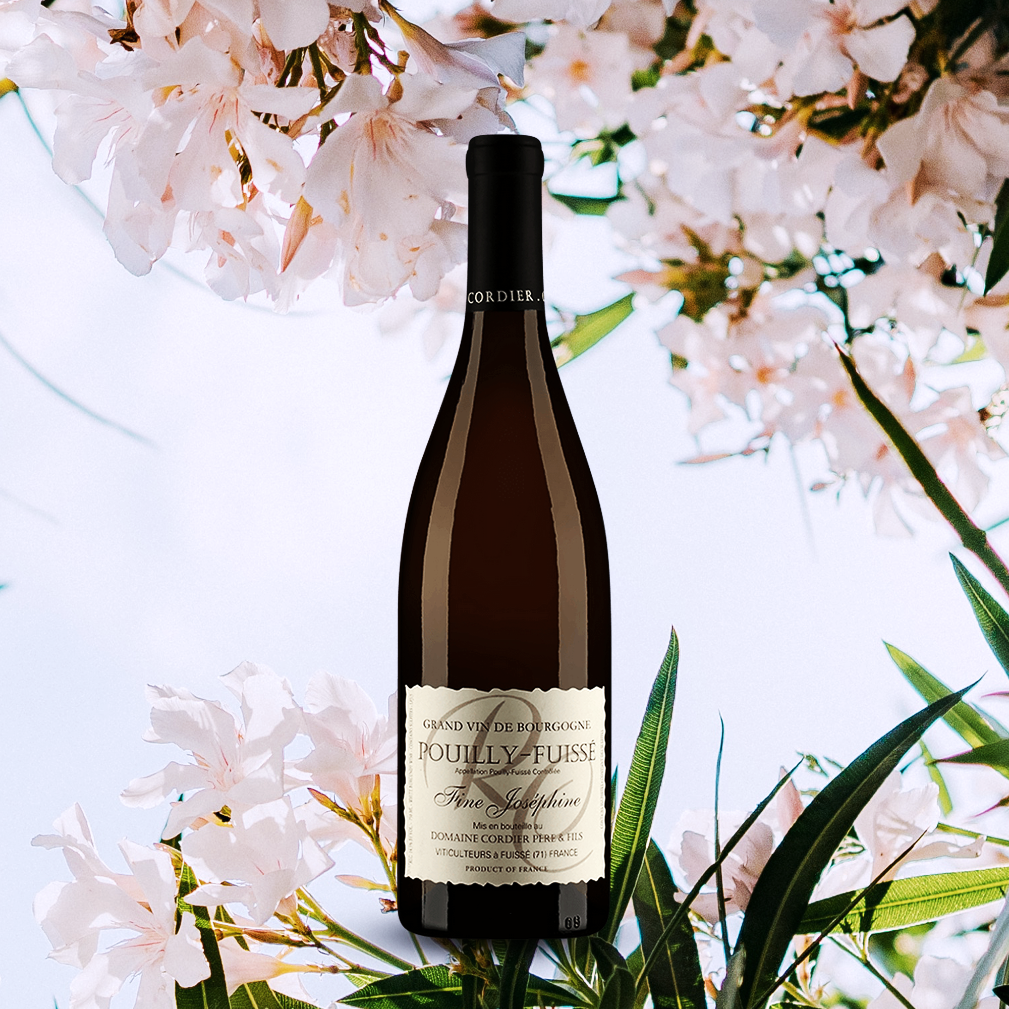 yourwinefix Domaine Cordier, Pouilly-Fuissé Fine Joséphine 2020