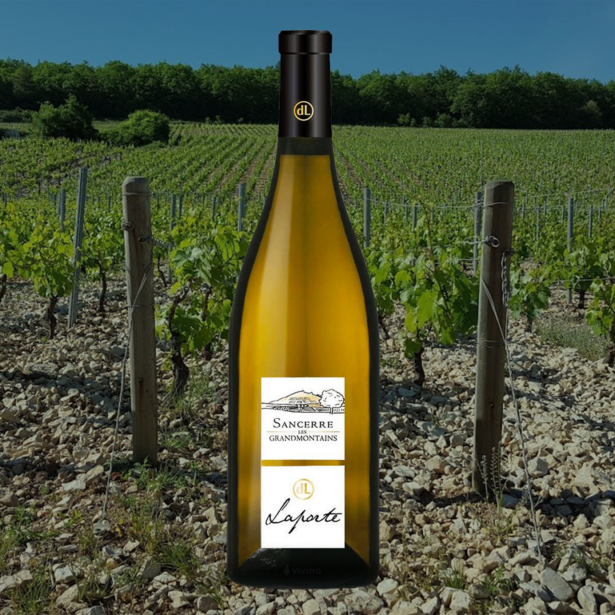 Laporte Sancerre Rouge Grandmontains 2019