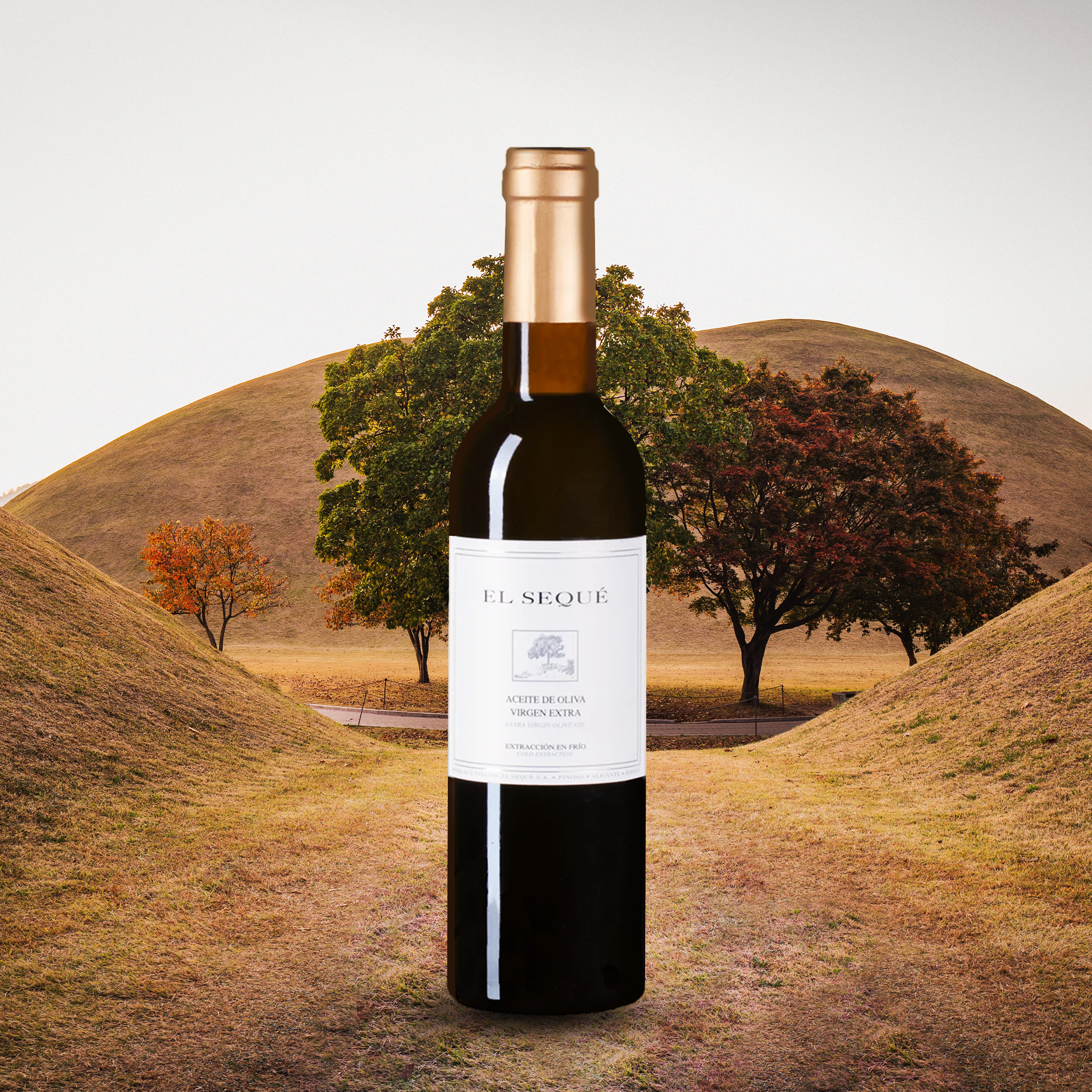 yourwinefix El Seque, Aceite (375ml)