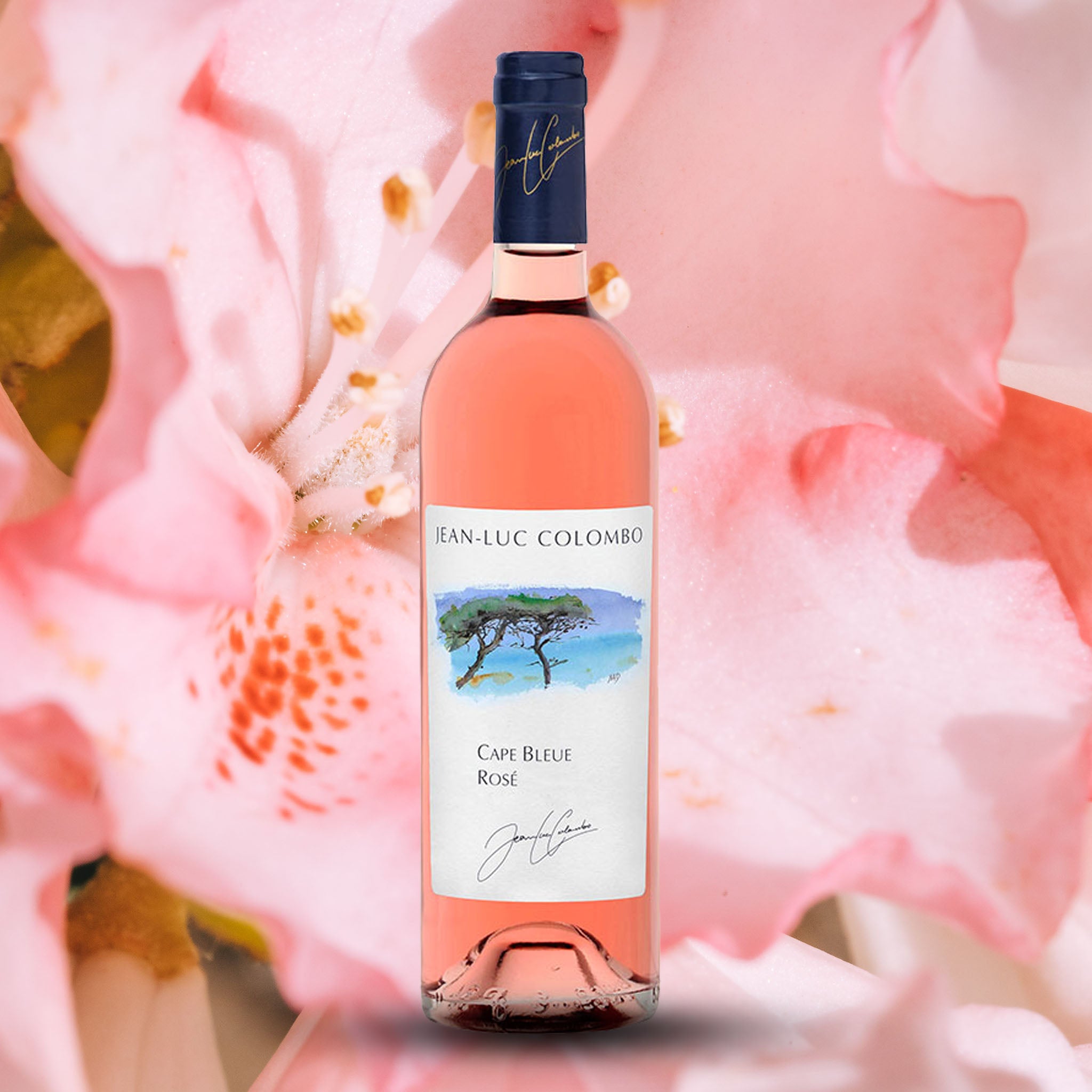 Jean-Luc Colombo, Provence Cape Bleue Rose 2016 (Magnum, 1.5L)