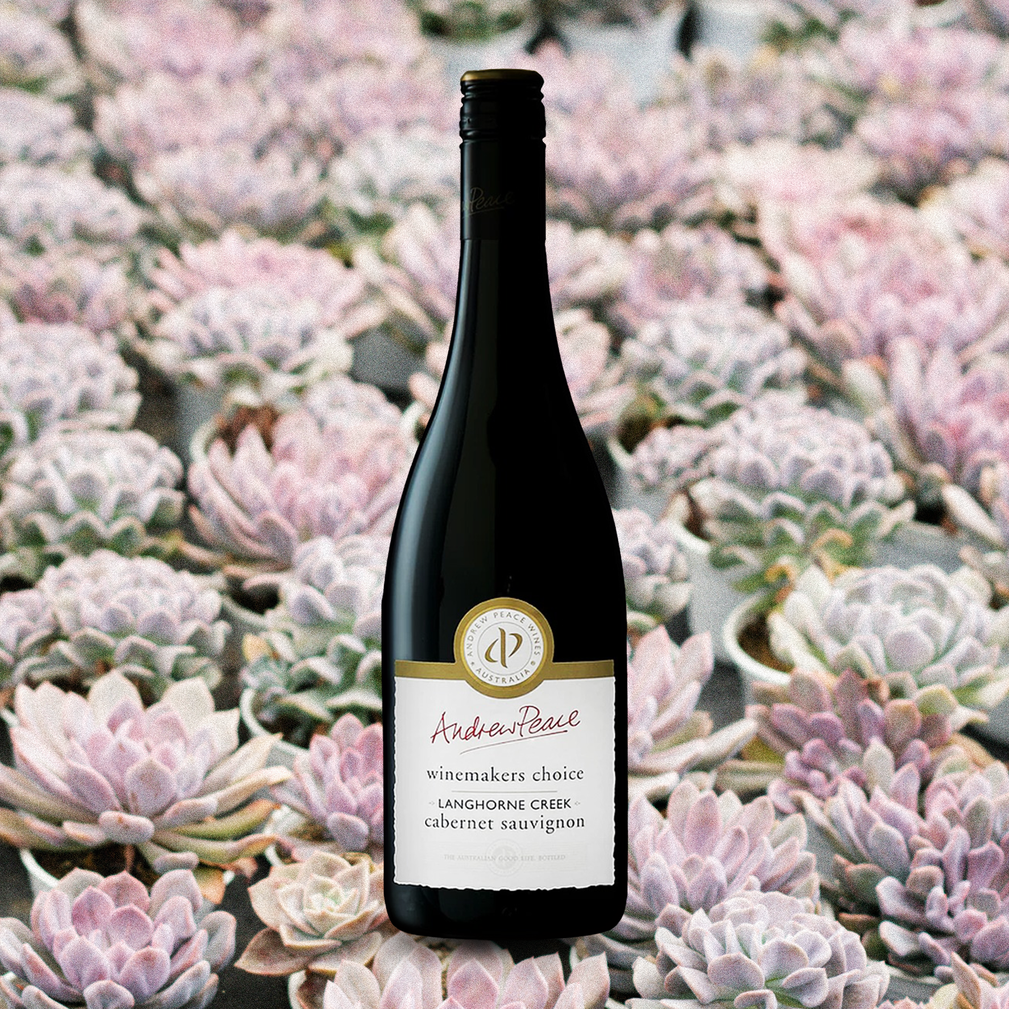 yourwinefix Andrew Peace, WMC Langhorne Creek, Cabernet Sauvignon 2018