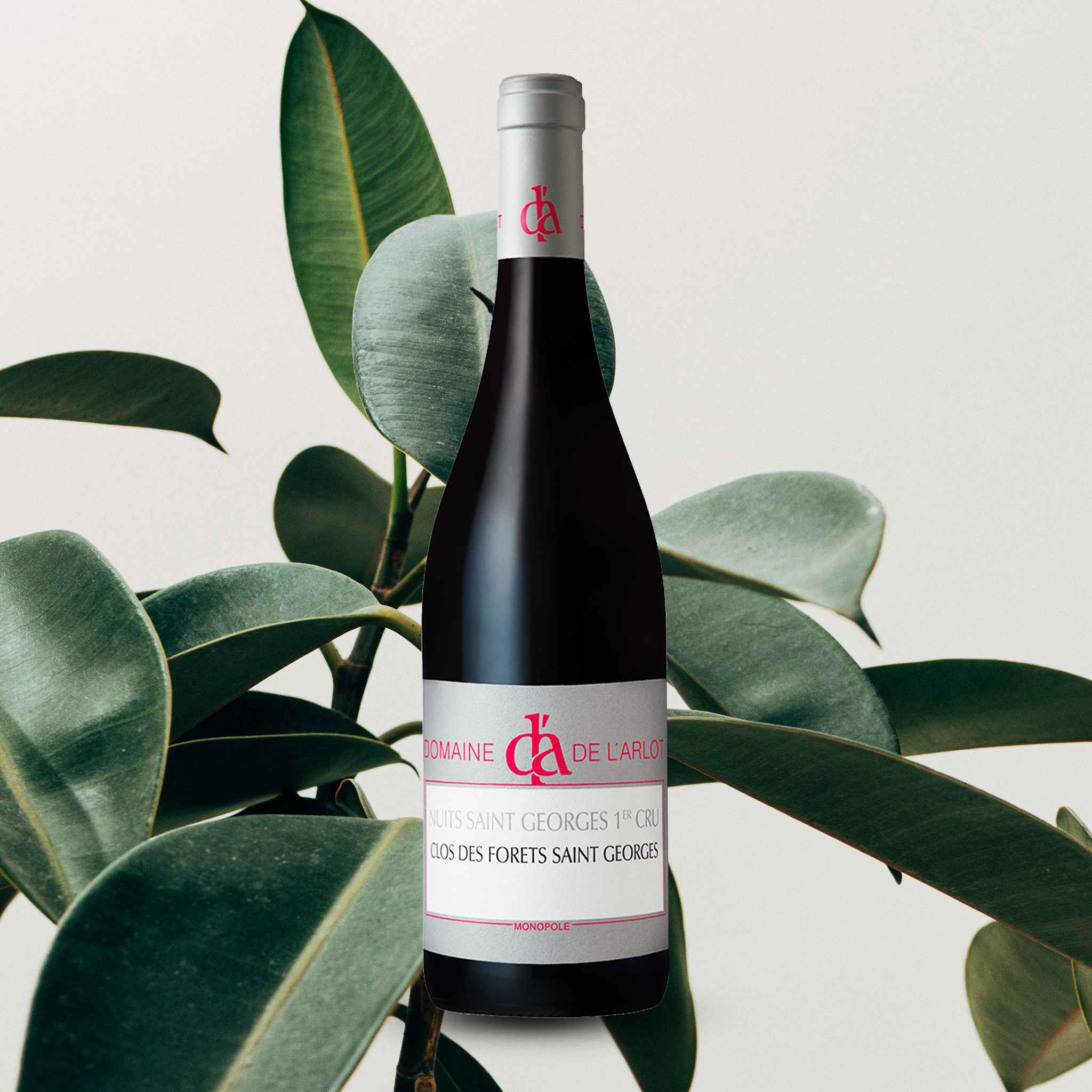 yourwinefix Domaine de l'Arlot, Nuits St. Georges "Clos des Forêts St. Georges" Monopole 1er Cru 2020