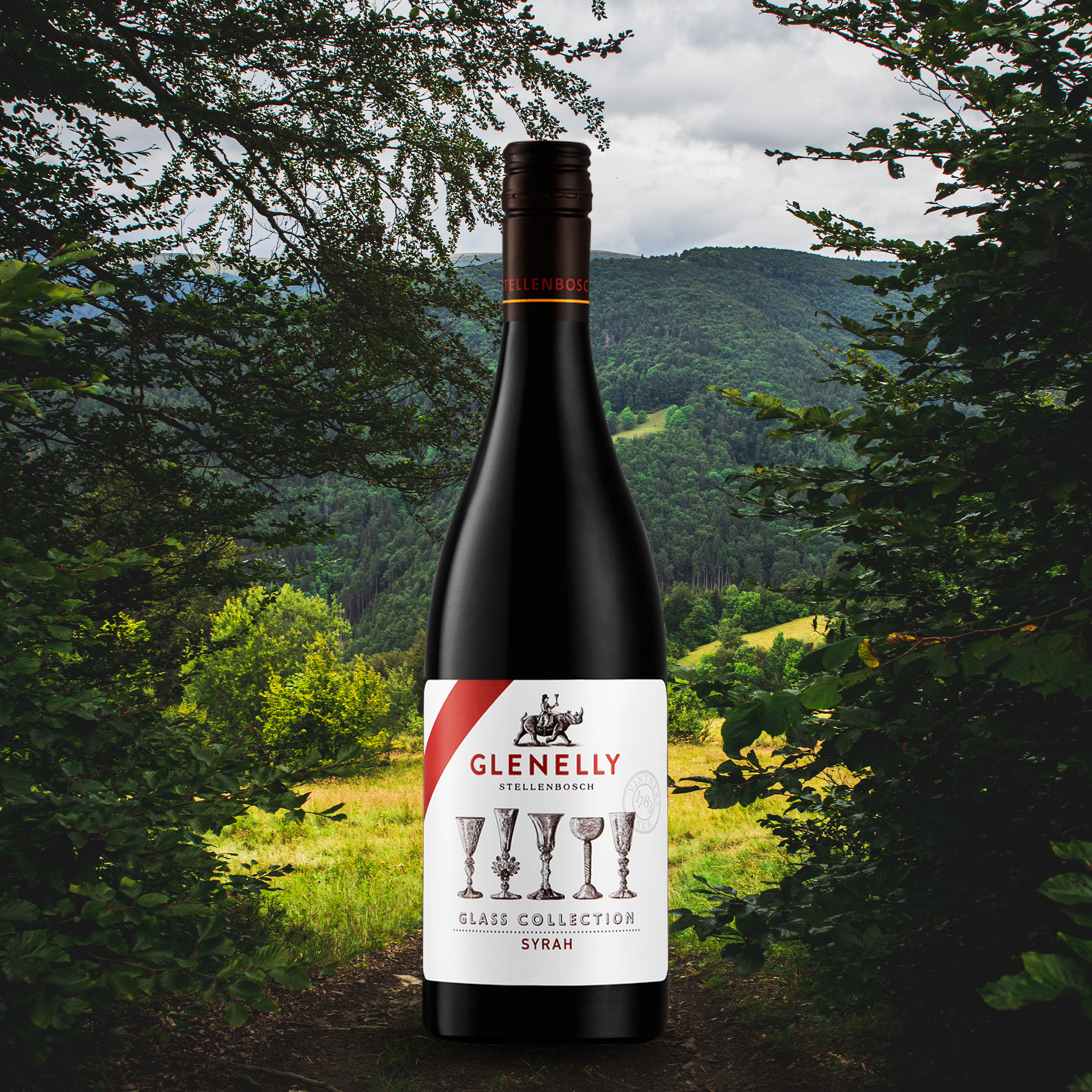 yourwinefix Glenelly Estate Glass Collection Syrah 2018