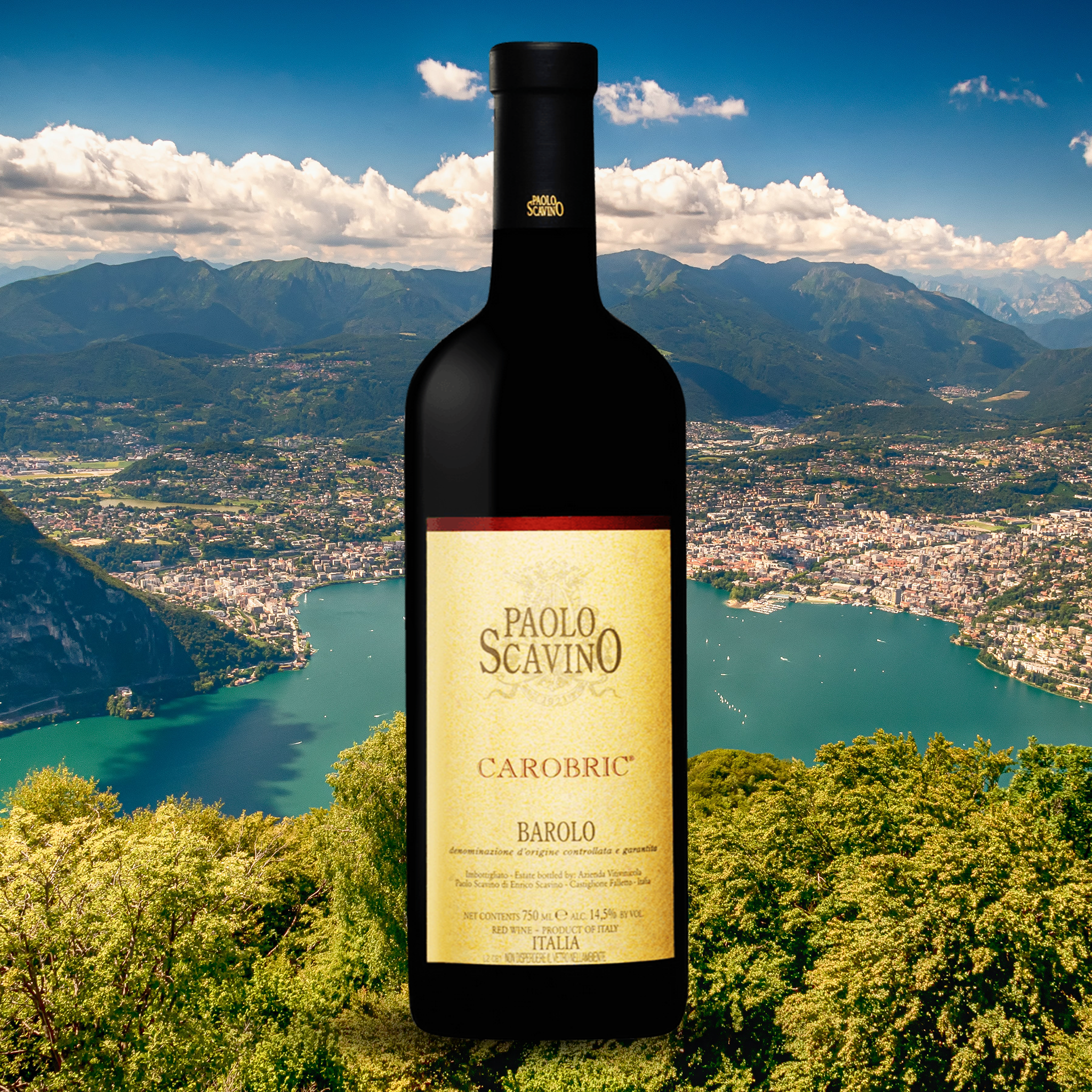 yourwinefix Paolo Scavino, "Carobric" Barolo 2003