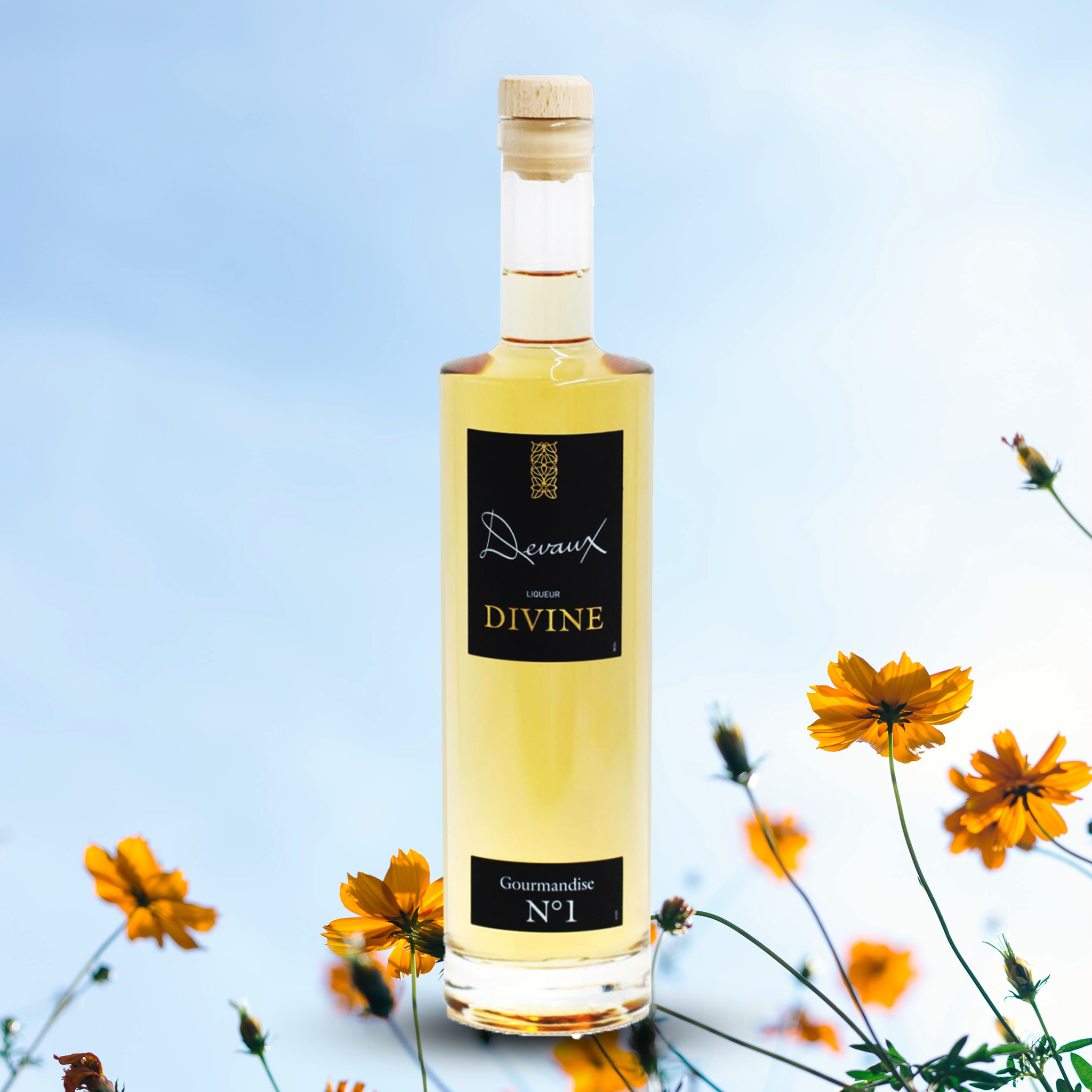 Devaux Divine Gourmandise N°1